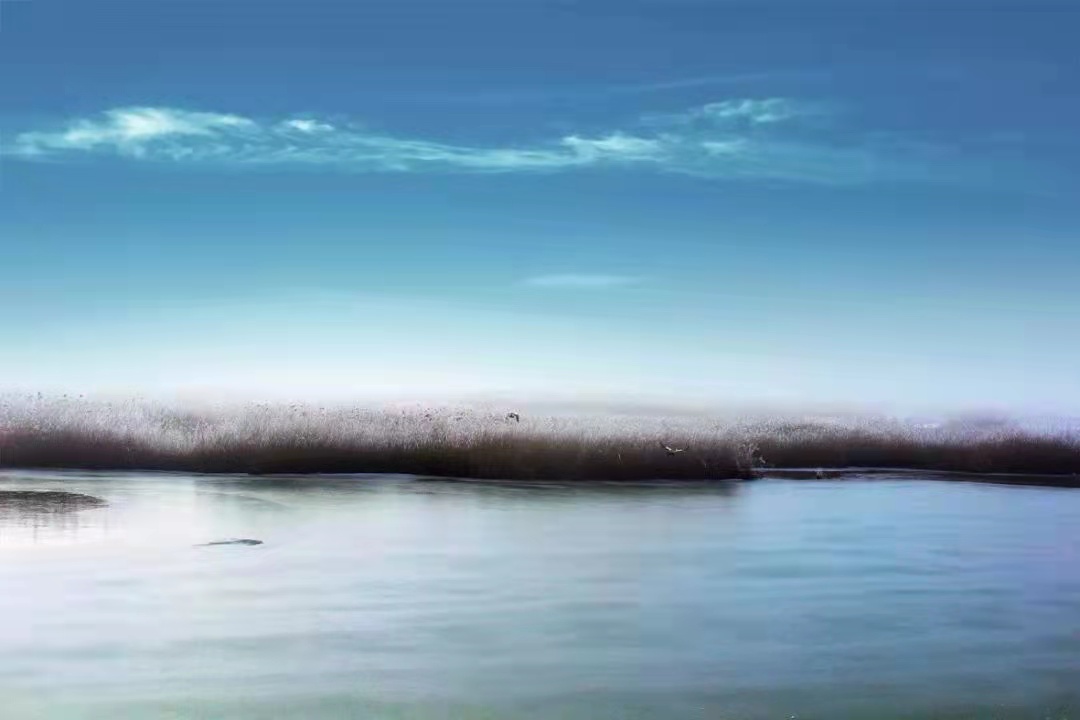 1637550179212102.jpg